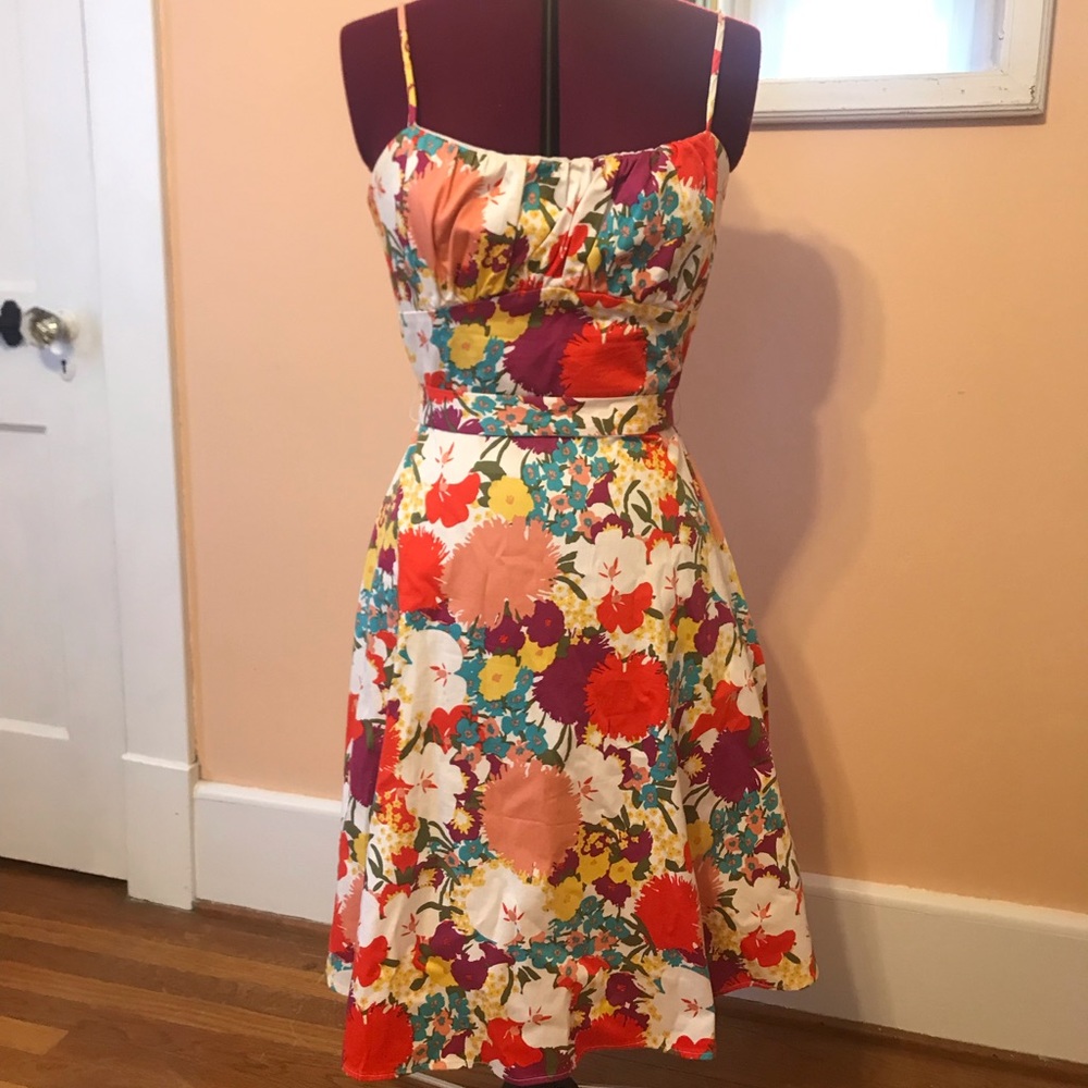 Funky Vintage Spring Floral dress